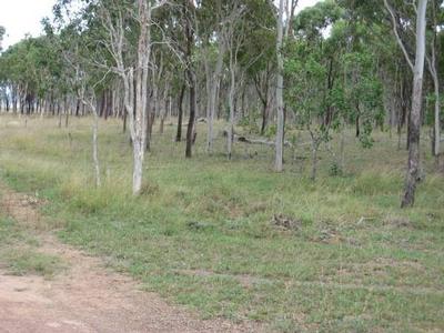 HOBBY FARM OR INVESTMENT Picture