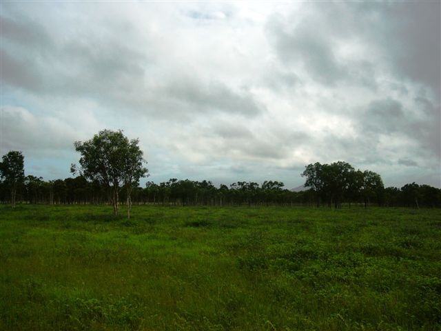 HOBBY FARM / INVESTMENT Picture 2