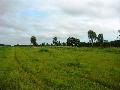 HOBBY FARM / INVESTMENT Picture