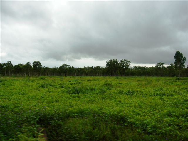 HOBBY FARM / INVESTMENT Picture 3