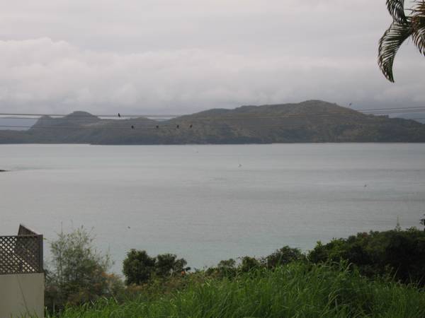 SHUTE HARBOUR SEA VIEWS Picture 2