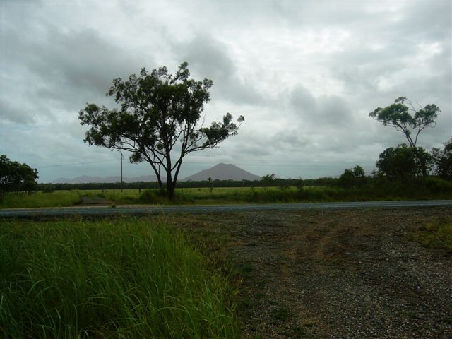 90 ACRE HOBBY FARM / INVESTMENT Picture 3