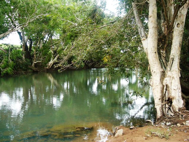 90 ACRE HOBBY FARM / INVESTMENT Picture 1