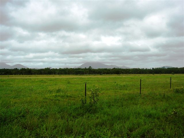 90 ACRE HOBBY FARM / INVESTMENT Picture 2