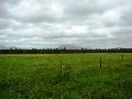 90 ACRE HOBBY FARM / INVESTMENT Picture