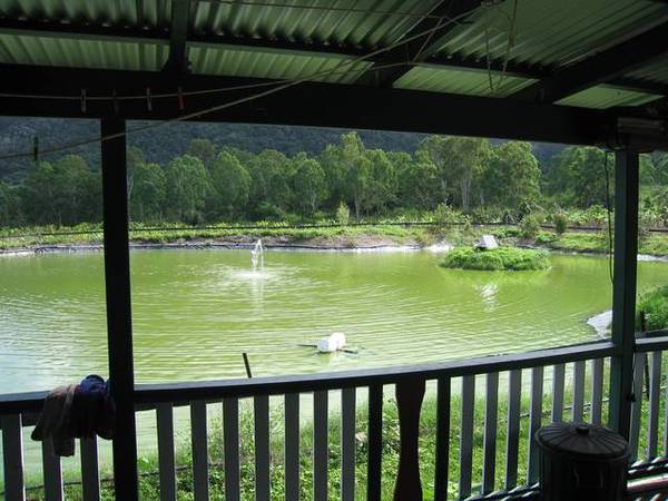 27 ACRE RAINFOREST PROPERTY Picture 1