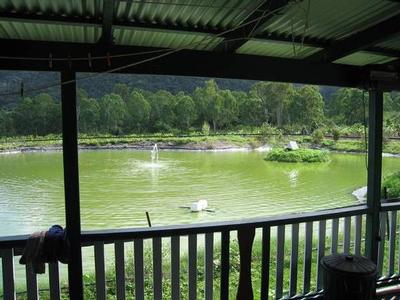 27 ACRE RAINFOREST PROPERTY Picture