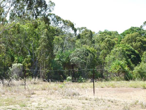 8 ACRE BLOCK AT THE BEACH Picture 2