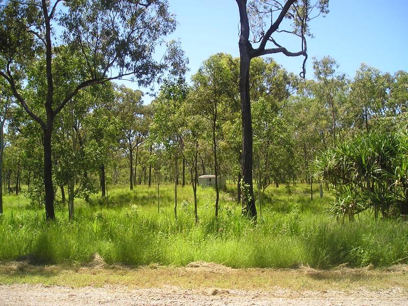 MAGNIFICENT 5 ACRES FOR ONLY $275,000 Picture 2