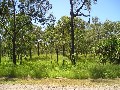 MAGNIFICENT 5 ACRES FOR ONLY $275,000 Picture MAGNIFICENT 5 ACRES FOR ONLY $275,000 Picture