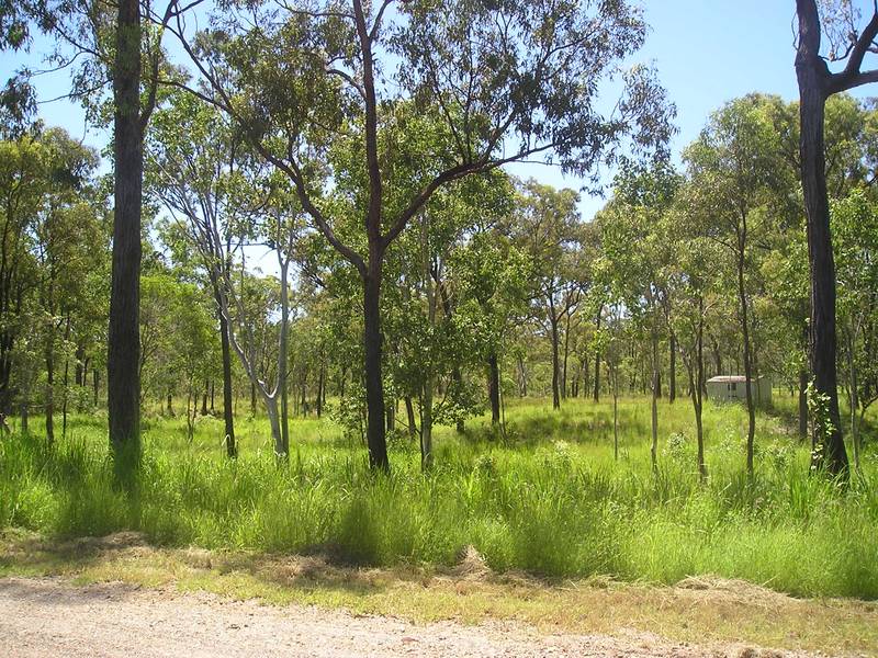 MAGNIFICENT 5 ACRES FOR ONLY $275,000 Picture 3