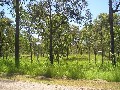 MAGNIFICENT 5 ACRES FOR ONLY $275,000 Picture MAGNIFICENT 5 ACRES FOR ONLY $275,000 Picture