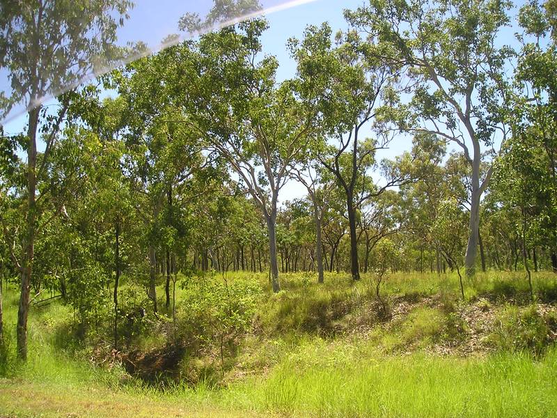 MAGNIFICENT 5 ACRES FOR ONLY $275,000 Picture 1