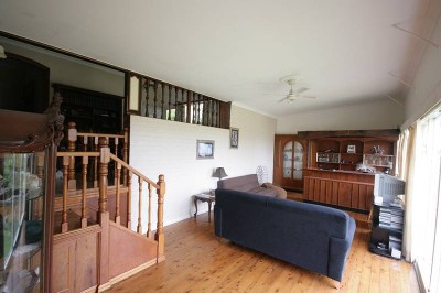 HOLIDAY ALL YEAR ROUND!!! Picture