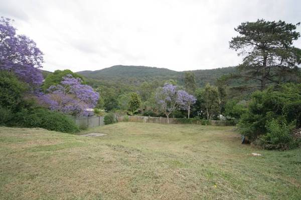 YOUR LAST CHANCE!!! Picture YOUR LAST CHANCE!!! Picture