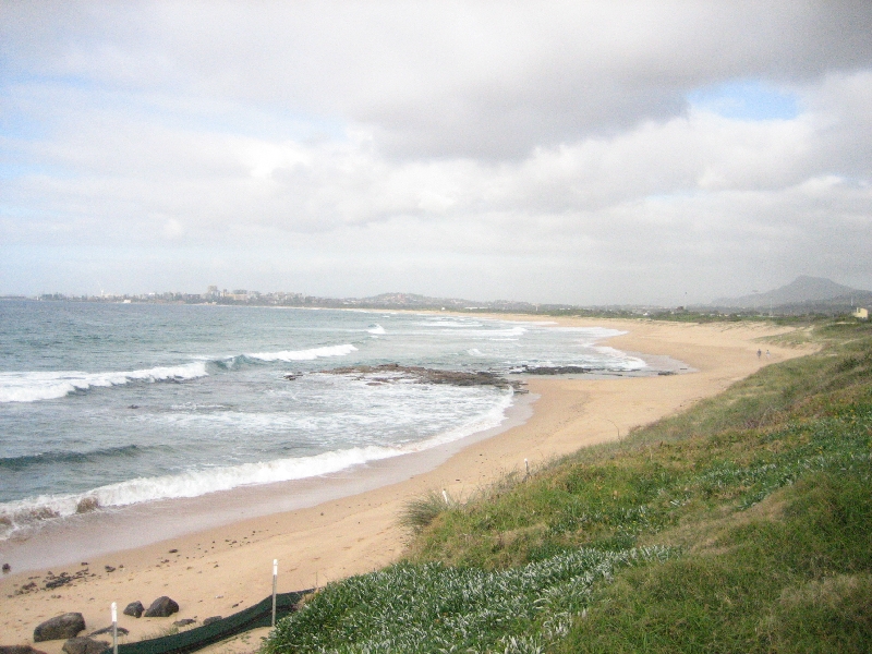 SUMMER LOVING Picture 1