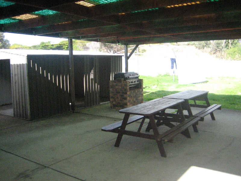 SUMMER LOVING Picture 3