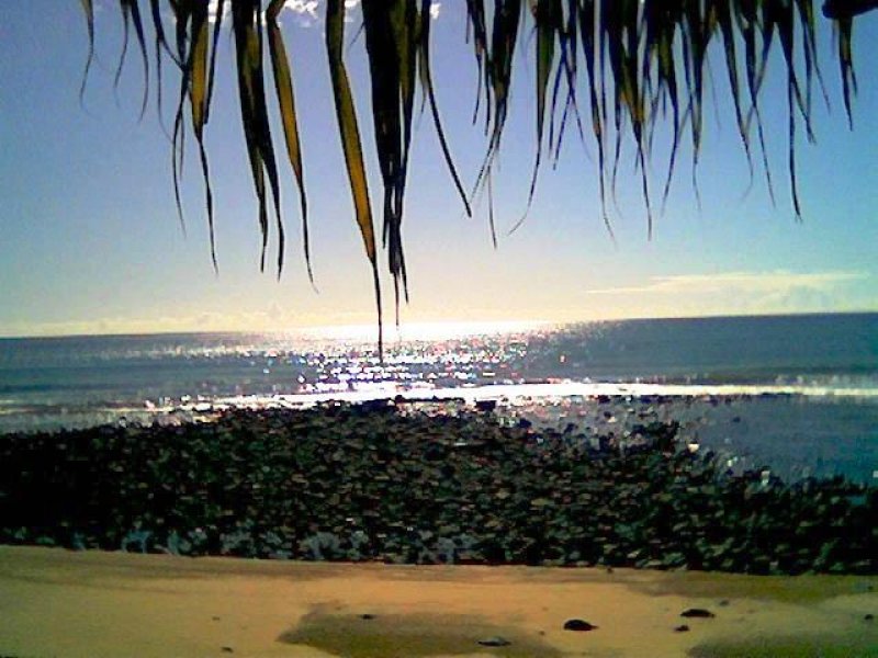 Brilliant High Block, Position & Potential Picture 3