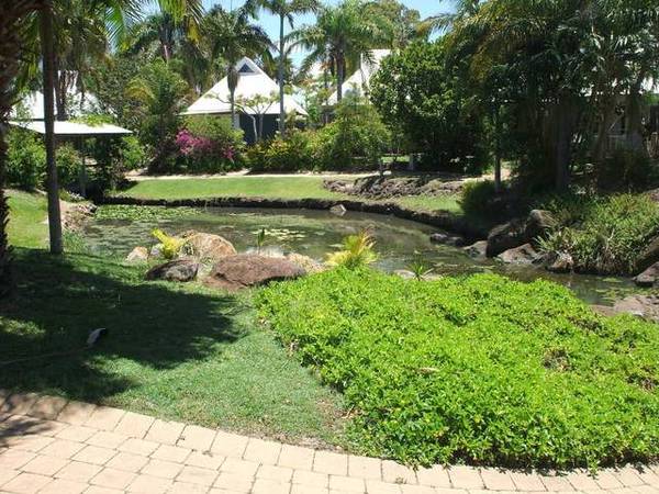 INVESTORS DREAM! Picture 2