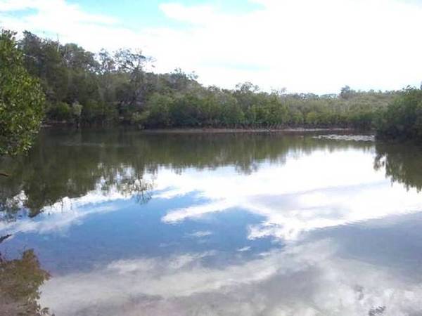 KINKUNA COASTAL MAGIC! Picture 3