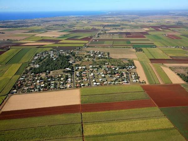 Penny's From Heaven Picture 1