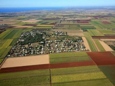 Penny's From Heaven Picture