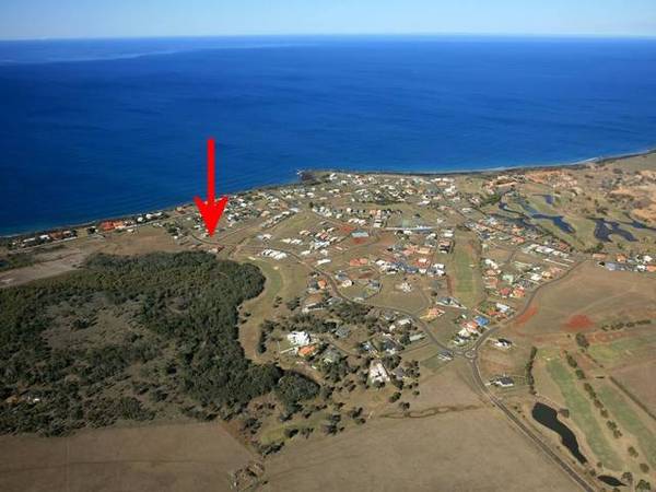 PICK ME, PICK ME! Picture 1