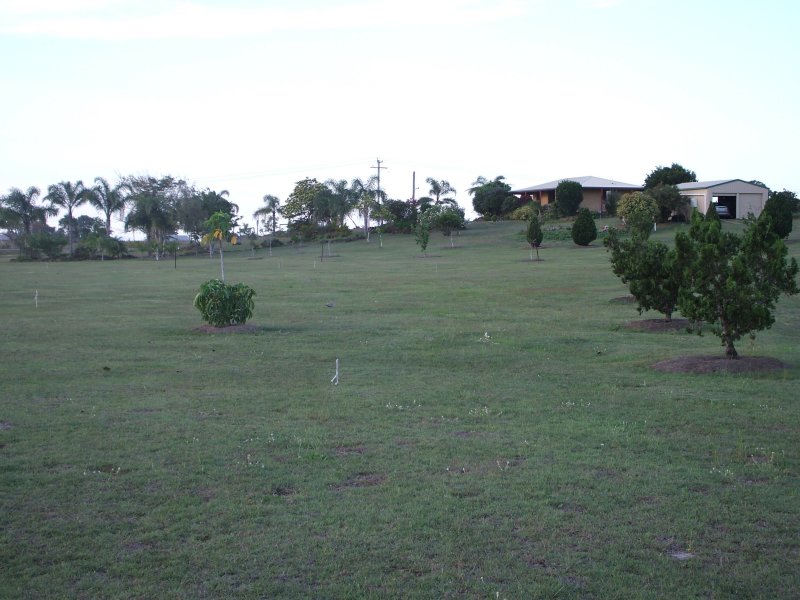 Little House on the Prairie Picture 3