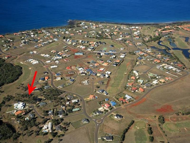 BEST BUY IN BETTY Picture 1