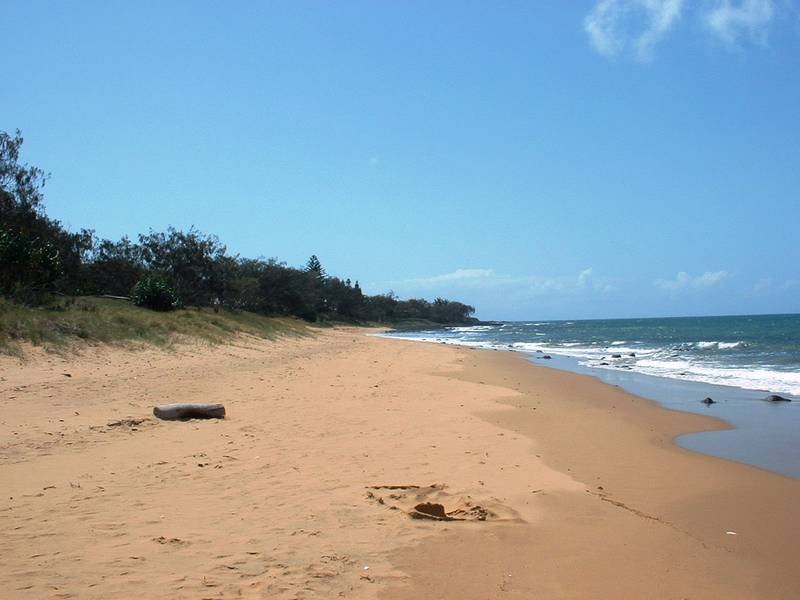 BEST BUY IN BETTY Picture 2