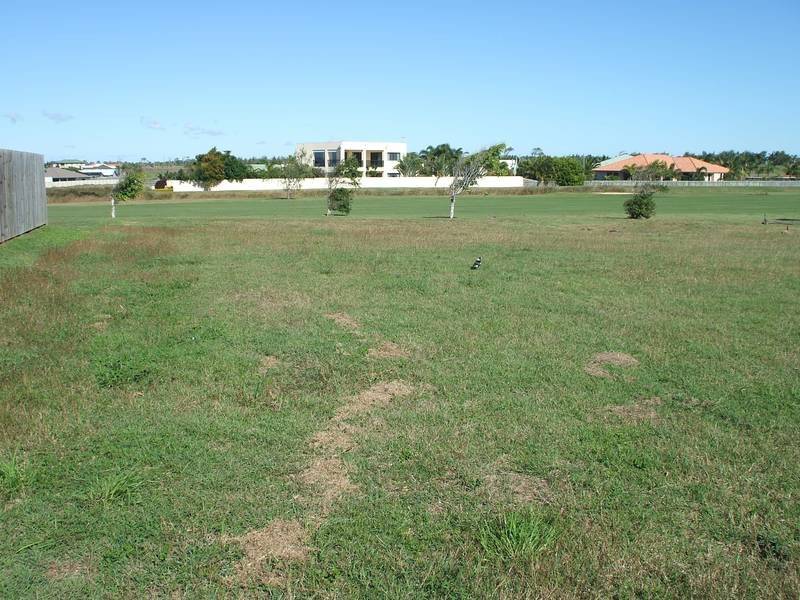 CHEAPIE ON THE GOLF COURSE Picture 3