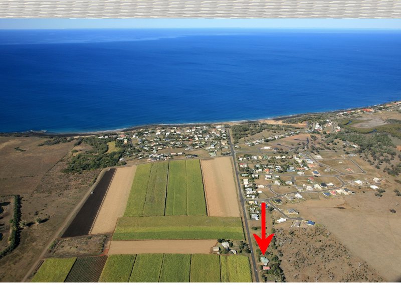 LOVE AT FIRST SIGHT Picture 1