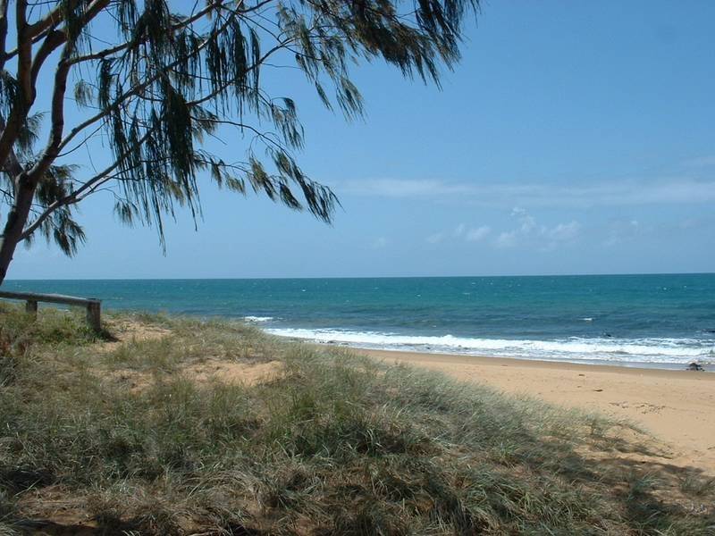 Coastal Bargain Picture 2