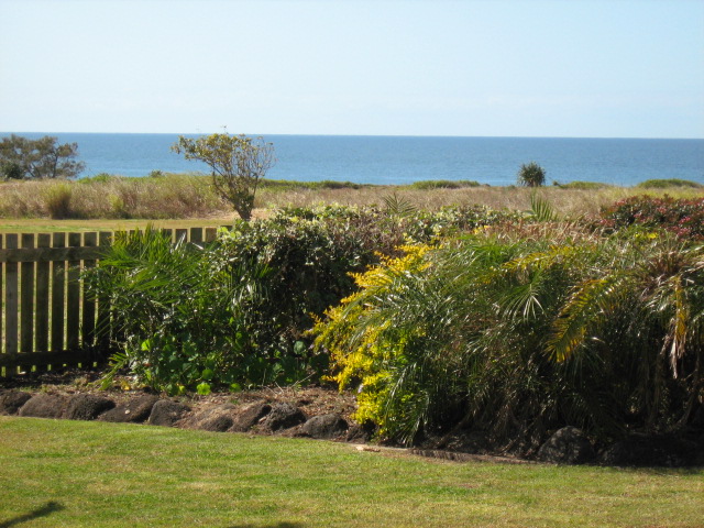 Decked and Dressed to Bowl You Over Picture 3