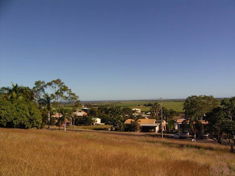 What a View! Picture