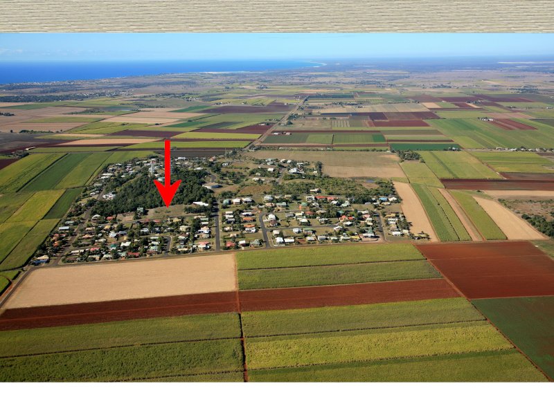 What a View! Picture 1