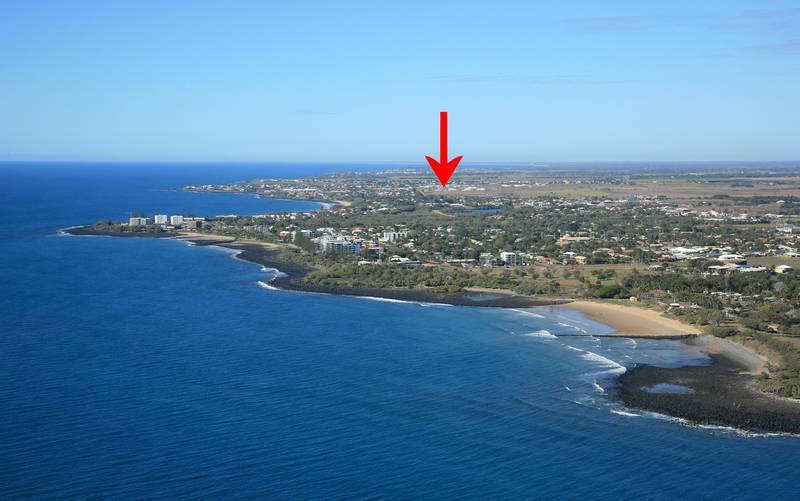 For the Connoisseur Picture 3