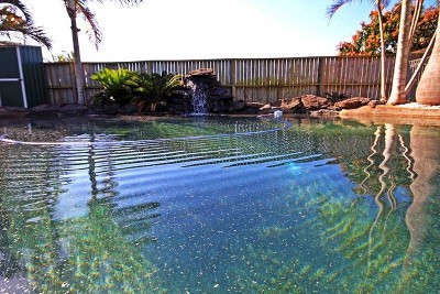 ALL YOU NEED Picture