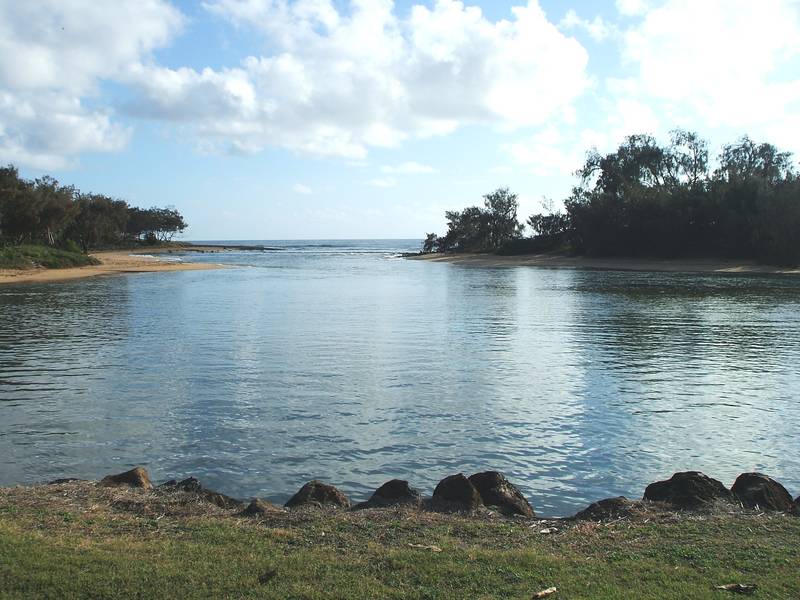 A Sea Change & Tree Change all in One Picture 3