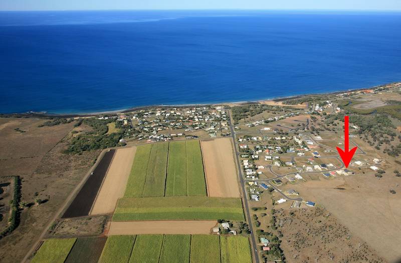 A Sea Change & Tree Change all in One Picture 2