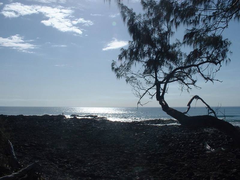 BURNETT HEADS LAND Picture 3