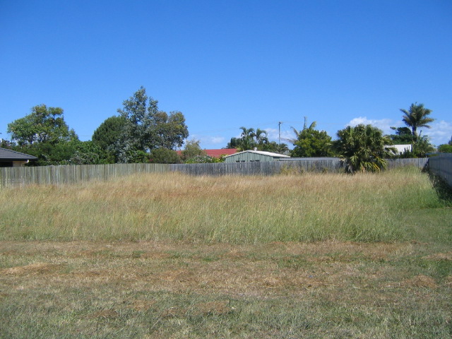 THAT'S IT...IT'S GOT TO GO Picture 2