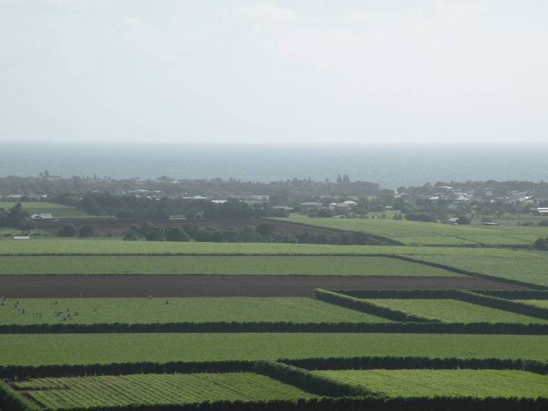 Your Day Starts............ Picture 3