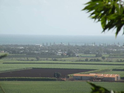 Your Day Starts............ Picture