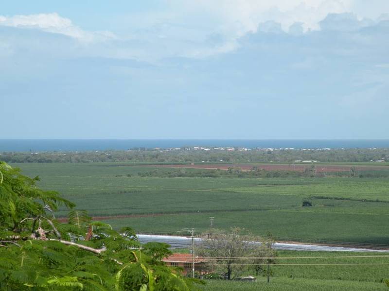 ON THE TOP Picture 3