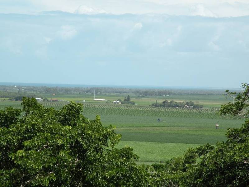 ON THE TOP Picture 2