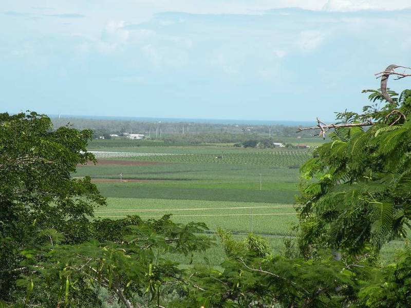 ON THE TOP Picture 1