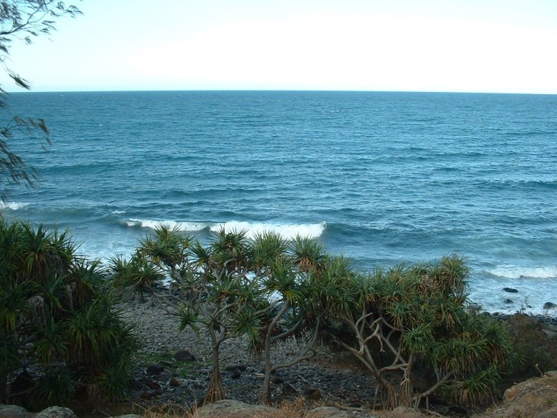 Bliss on Bisdee Picture 2