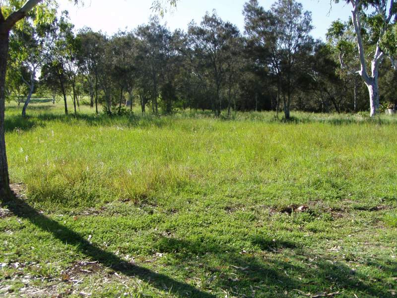 Large Vacant Land in Coral Cove Picture 1