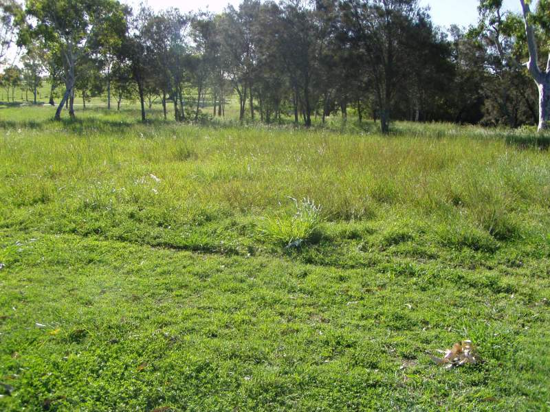 Large Vacant Land in Coral Cove Picture 2
